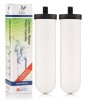 Filter 7" Ultra Sterasyl x 2 British Berkefeld®